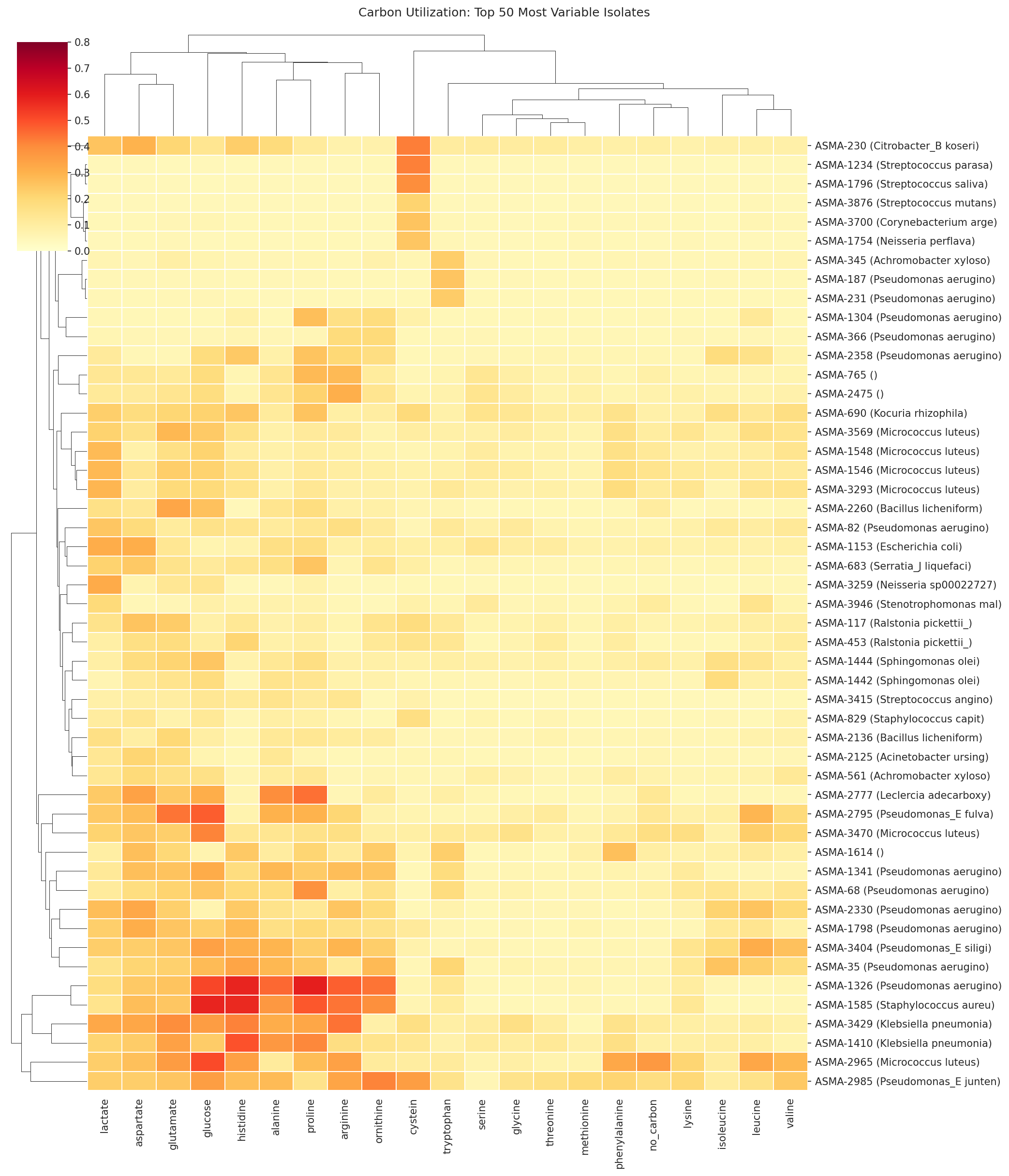 Carbon utilization clustermap — top 50 most variable isolates