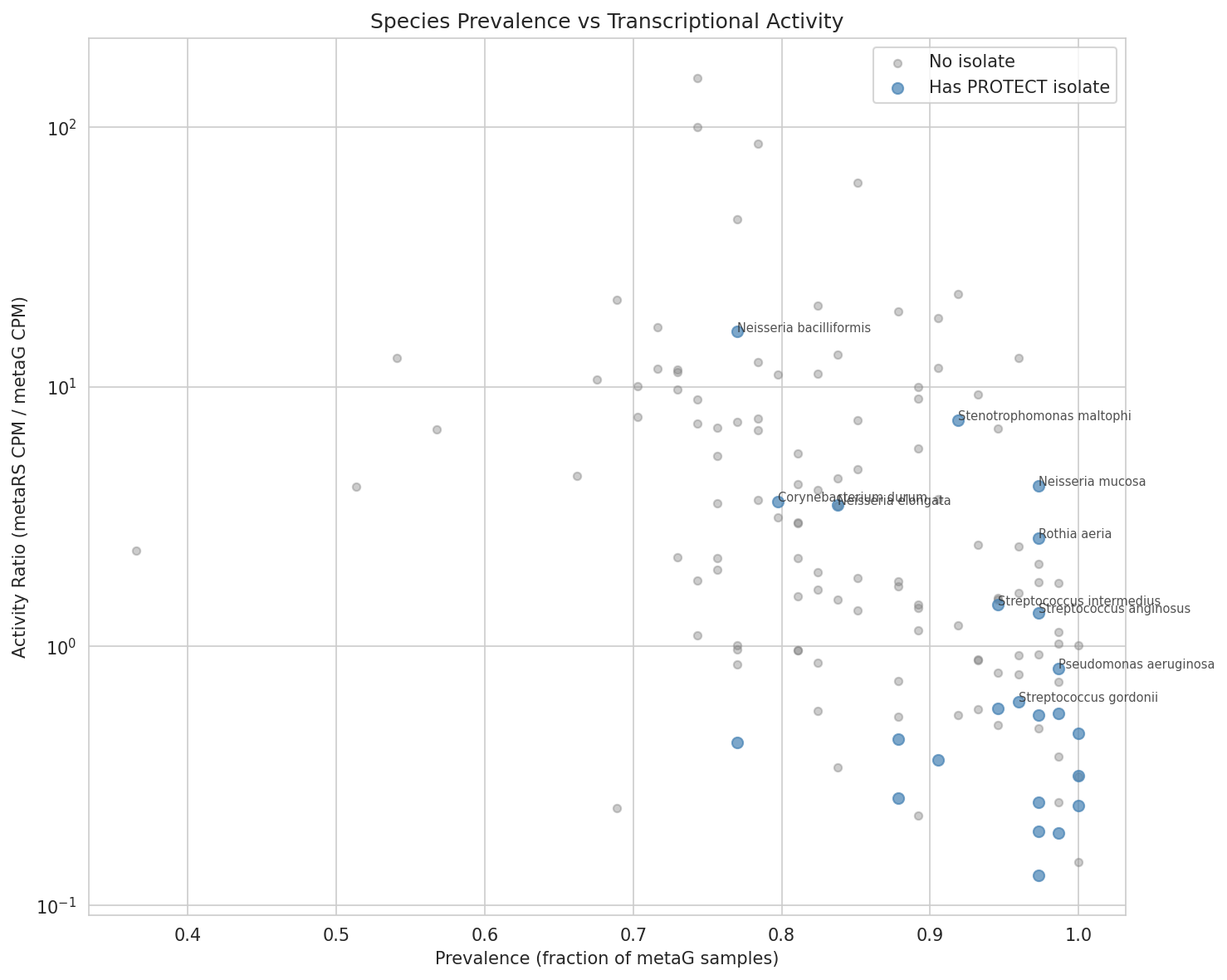 Species prevalence vs transcriptional activity — blue = has PROTECT isolate