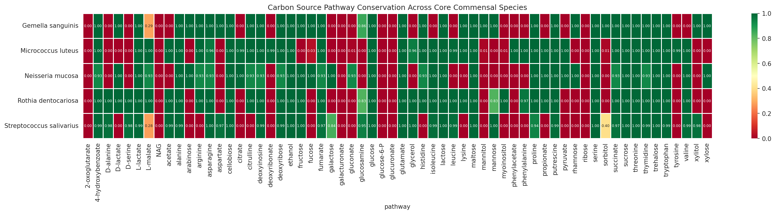 Carbon source pathway conservation heatmap