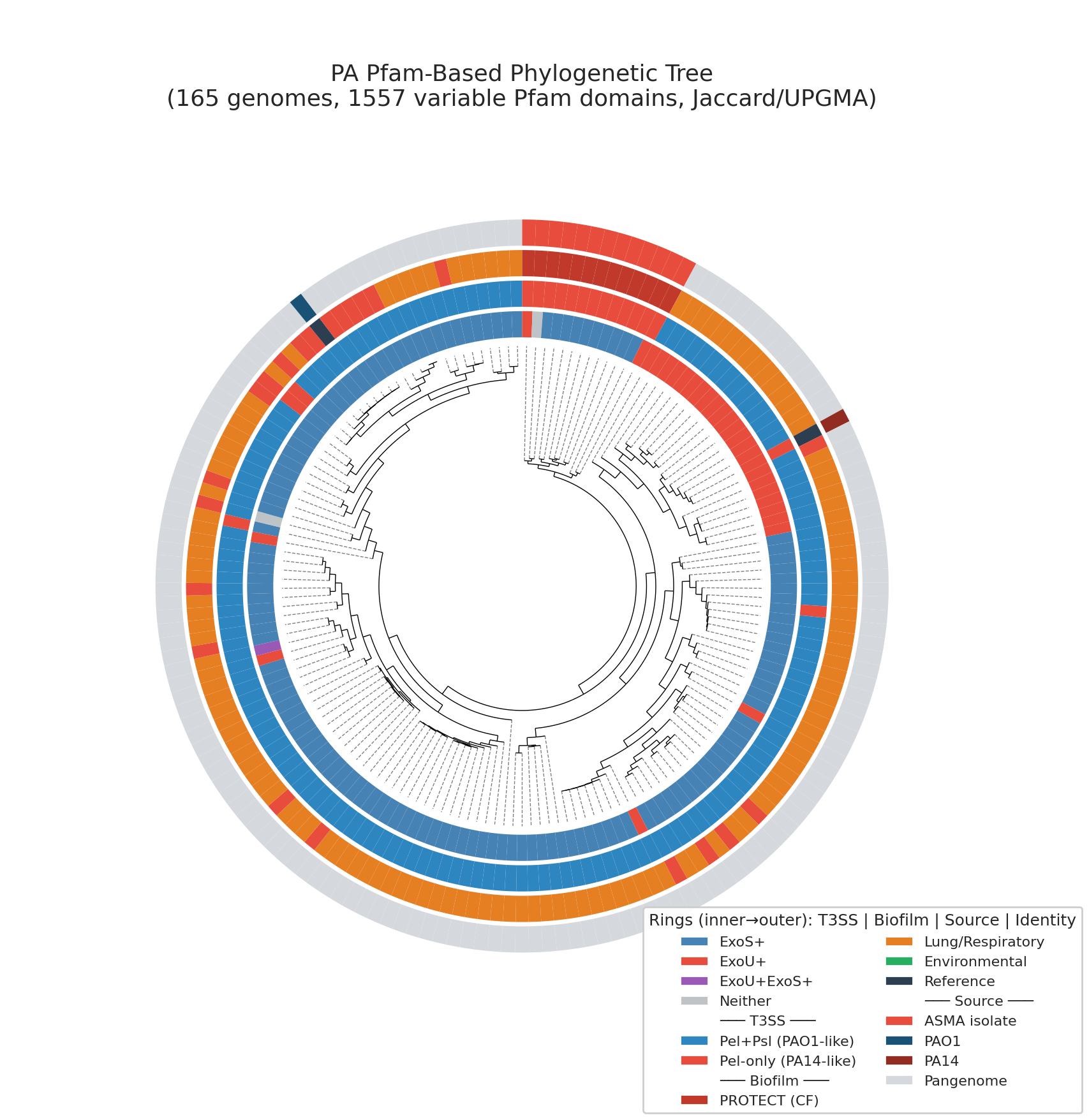 Circular Pfam-based tree: 165 PA genomes annotated with T3SS type, biofilm, source, and identity. ASMA isolates (red) distributed across lung PA diversity.