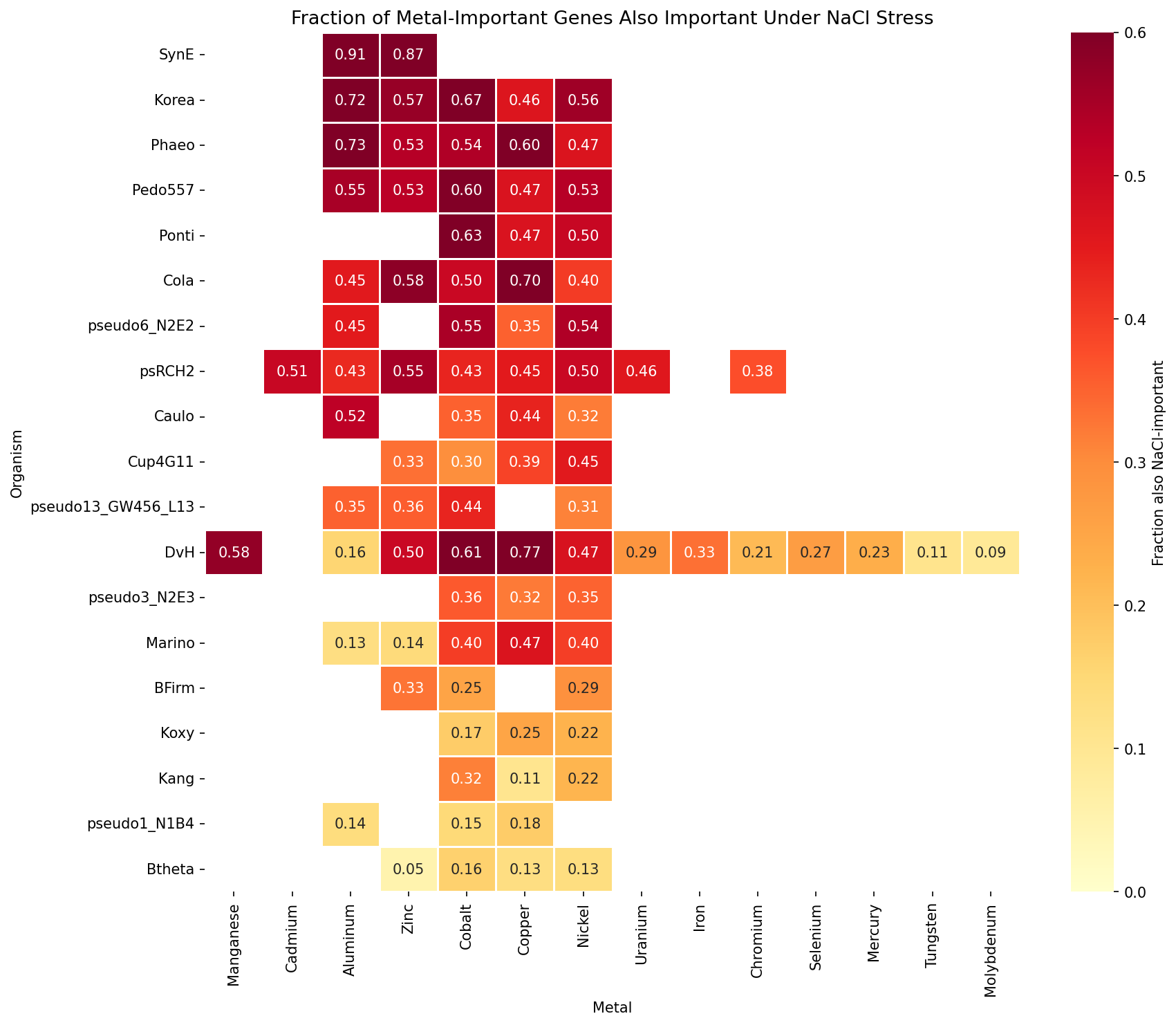 Heatmap of metal-NaCl gene overlap by organism and metal