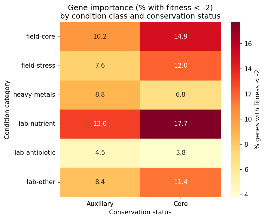 Heatmap of gene importance (fitness < -2) by condition class and conservation status