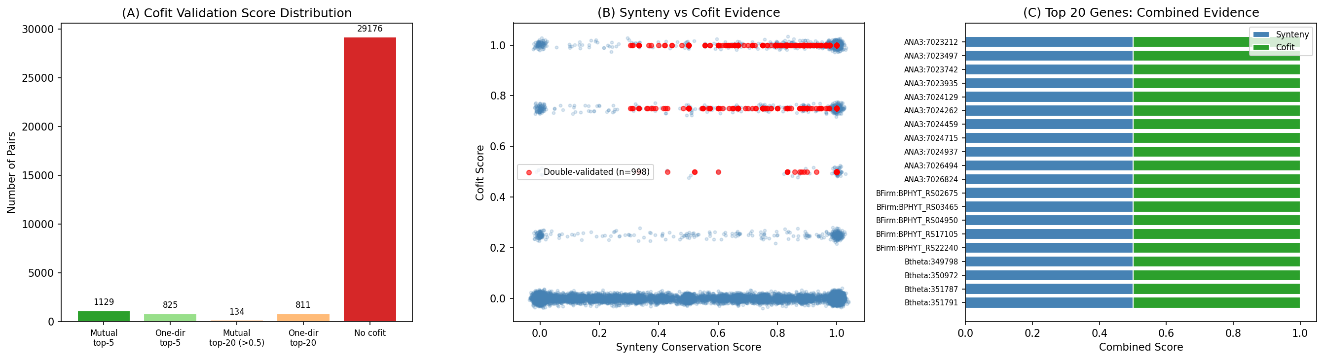 Cofit validation