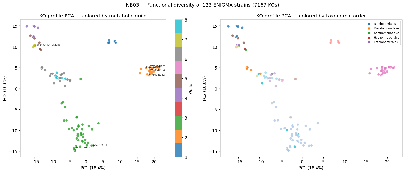 KO profile PCA colored by guild and taxonomy
