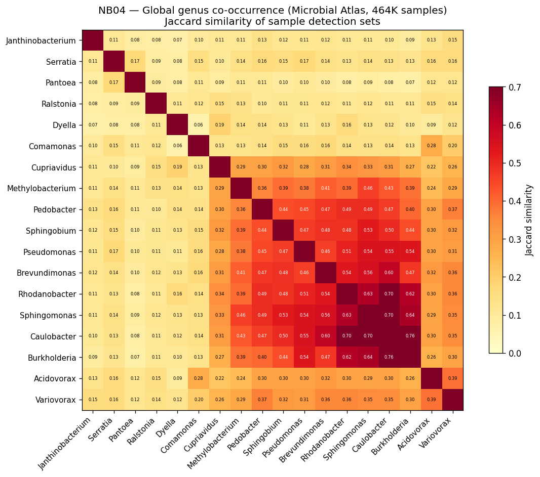 Global co-occurrence matrix