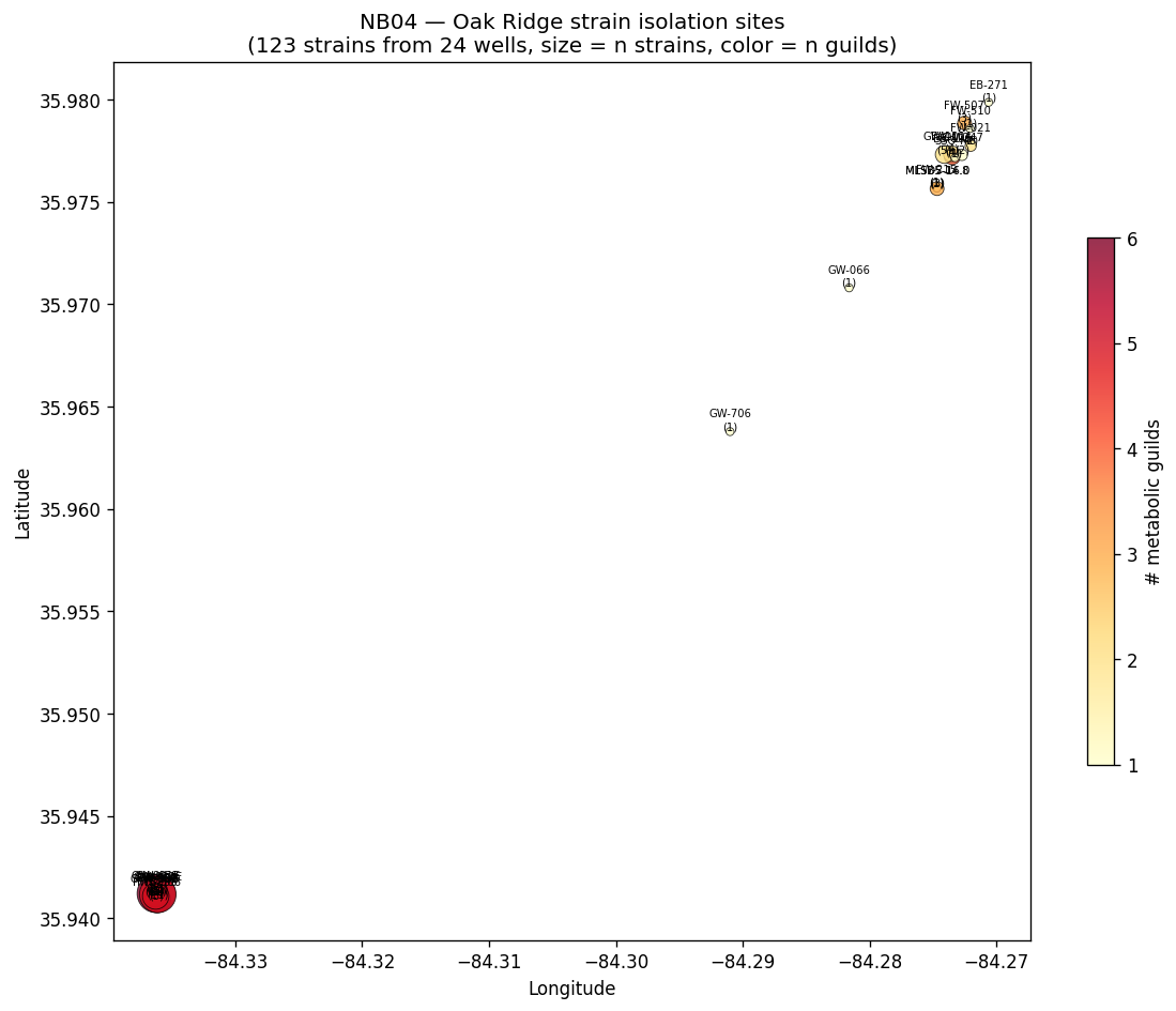 Strain isolation map