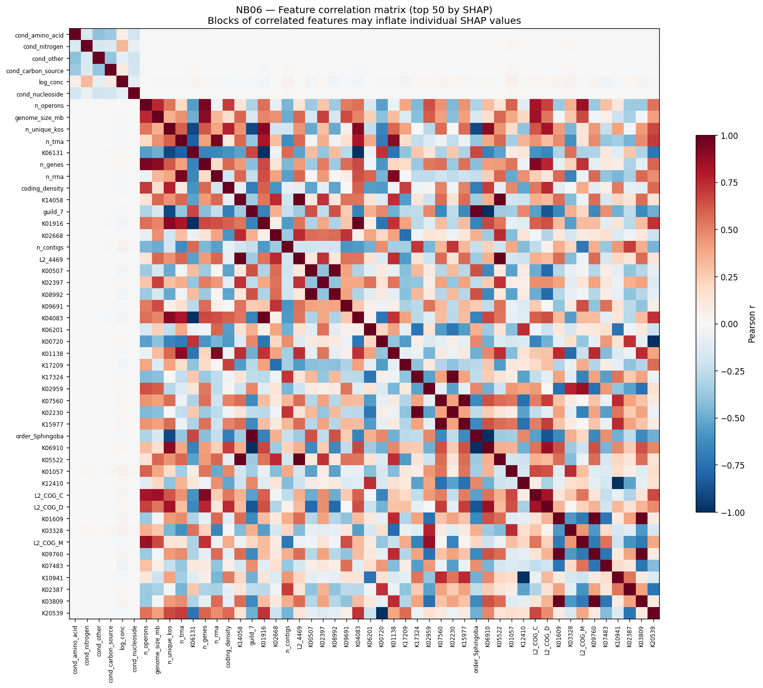 Feature correlation matrix