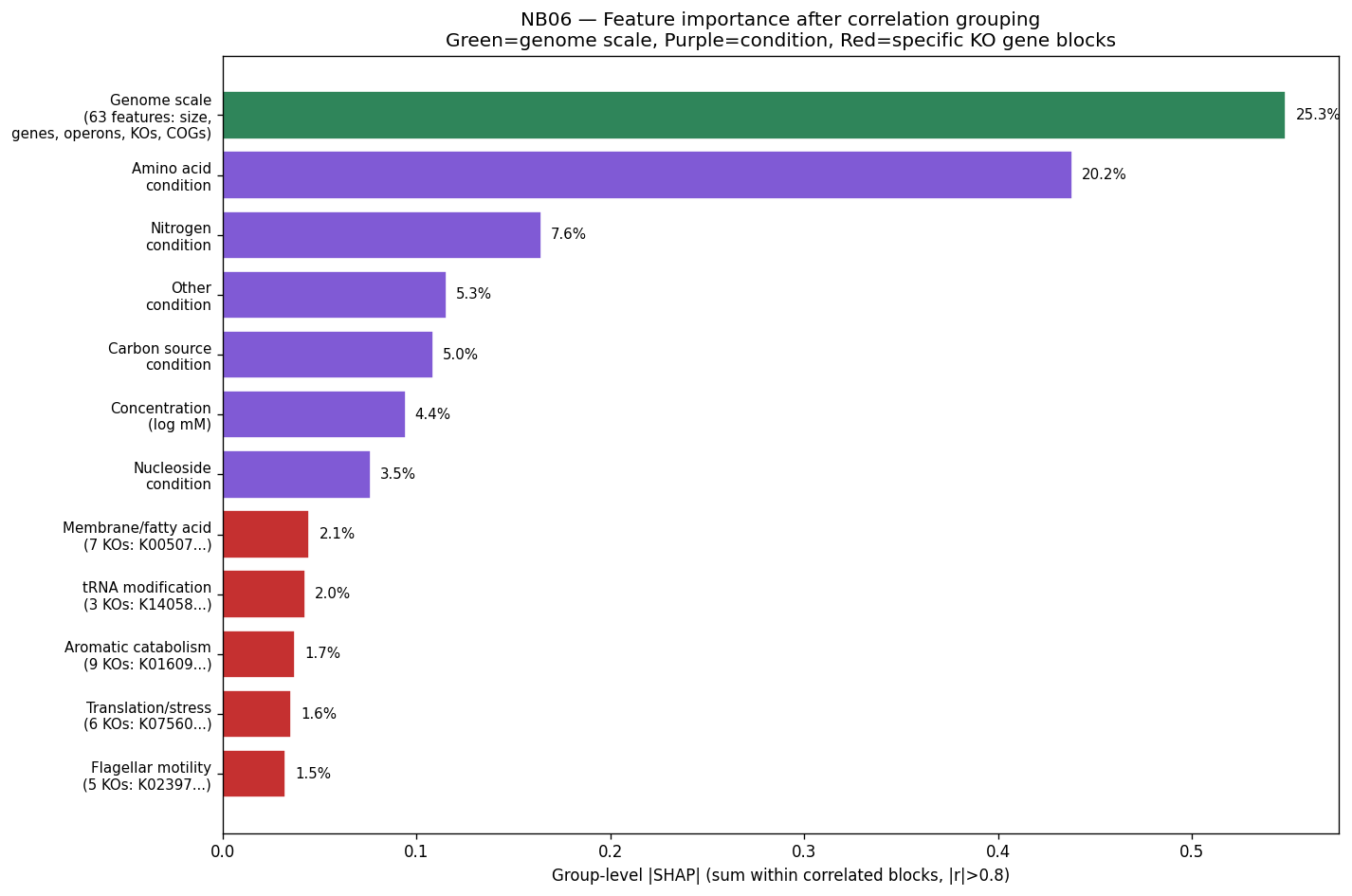 Group-level SHAP importance