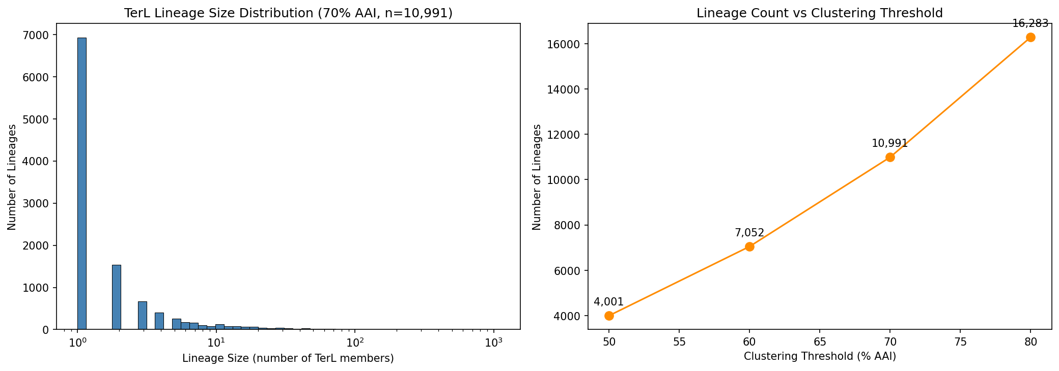 TerL lineage size distribution and clustering threshold sensitivity