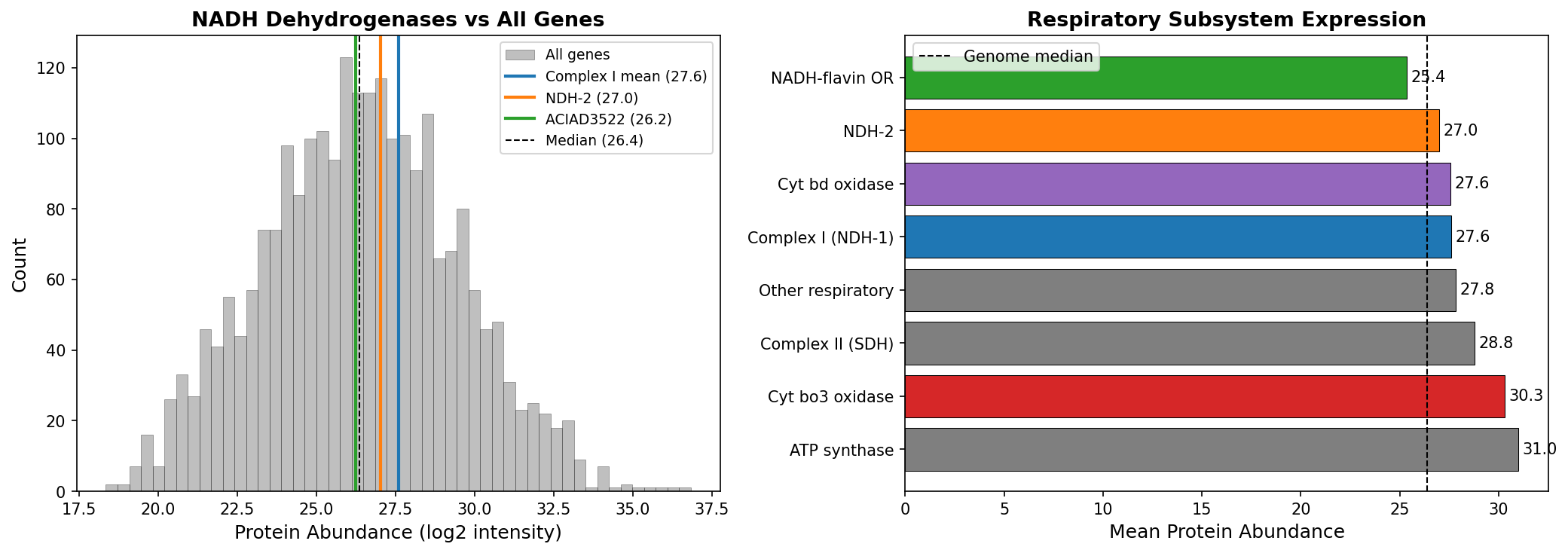 Proteomics: NADH dehydrogenase expression vs all genes