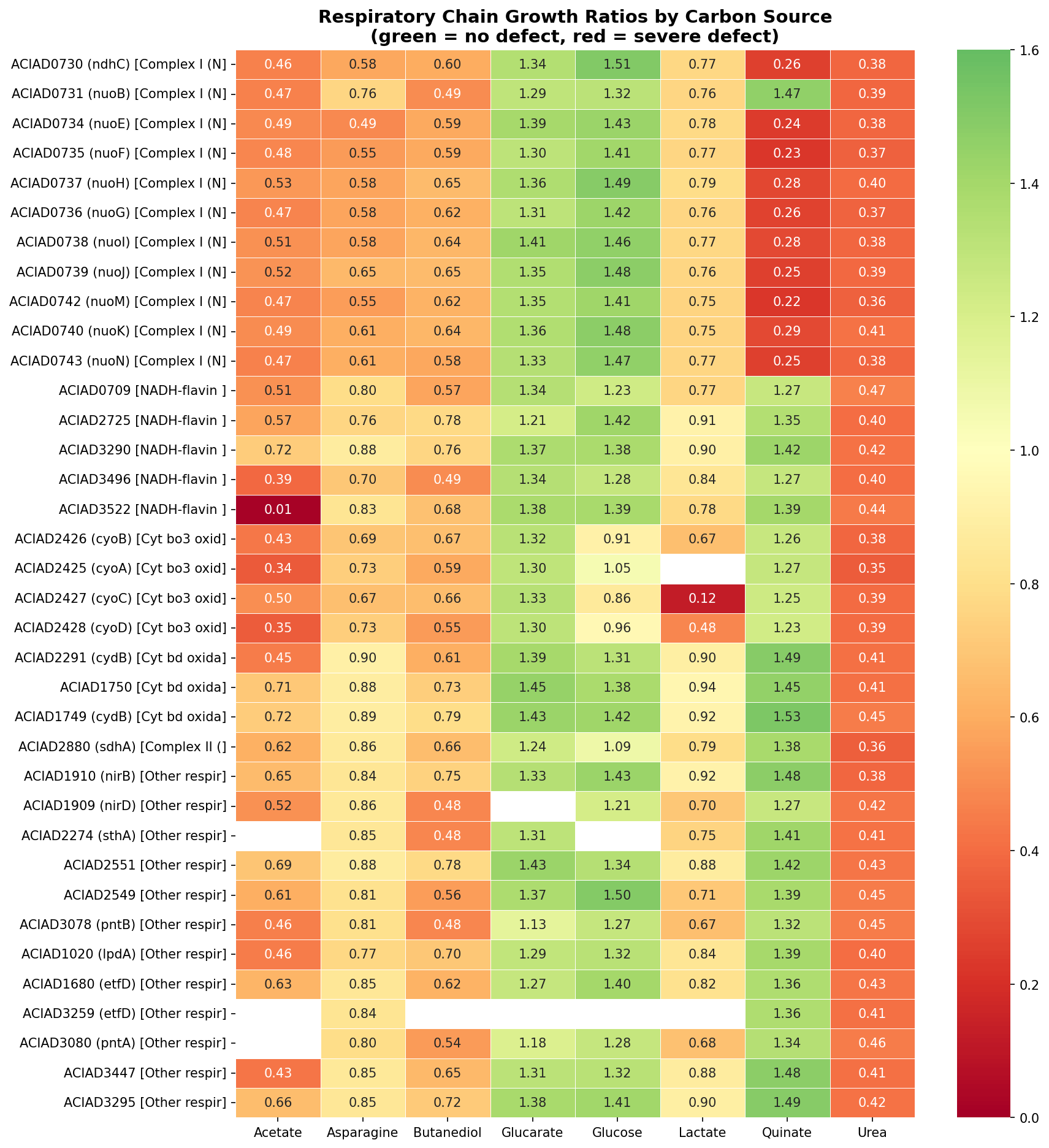 Respiratory chain growth ratios by carbon source